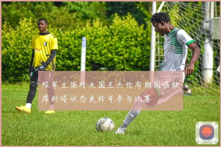 绿军主场对决国王杰伦布朗因伤缺席科塔状态良好可参与比赛